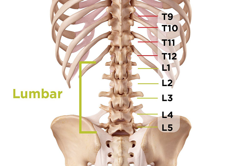 Tìm hiểu nguyên nhân và cách phòng bệnh thoái hóa cột sống lưng