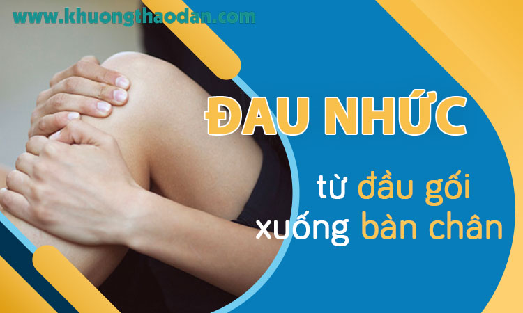 Đau nhức từ đầu gối xuống bàn chân là dấu hiệu của bệnh gì?