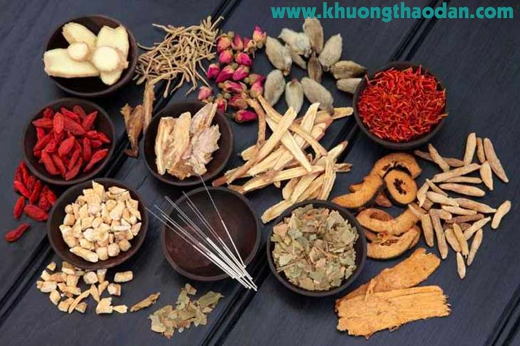 Chữa thoái hóa đốt sống lưng bằng thuốc nam