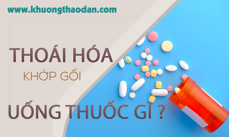 Điều trị thoái hóa khớp gối cần uống thuốc gì?